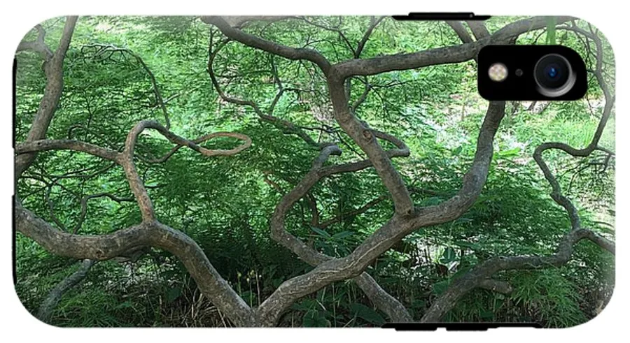 Cascading Japanese Maple - Phone Case