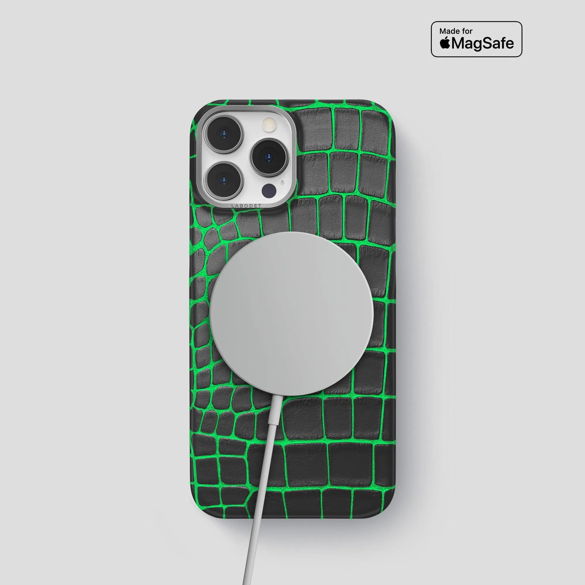 Classic Case For iPhone 15 Pro In Luminescent Alligator