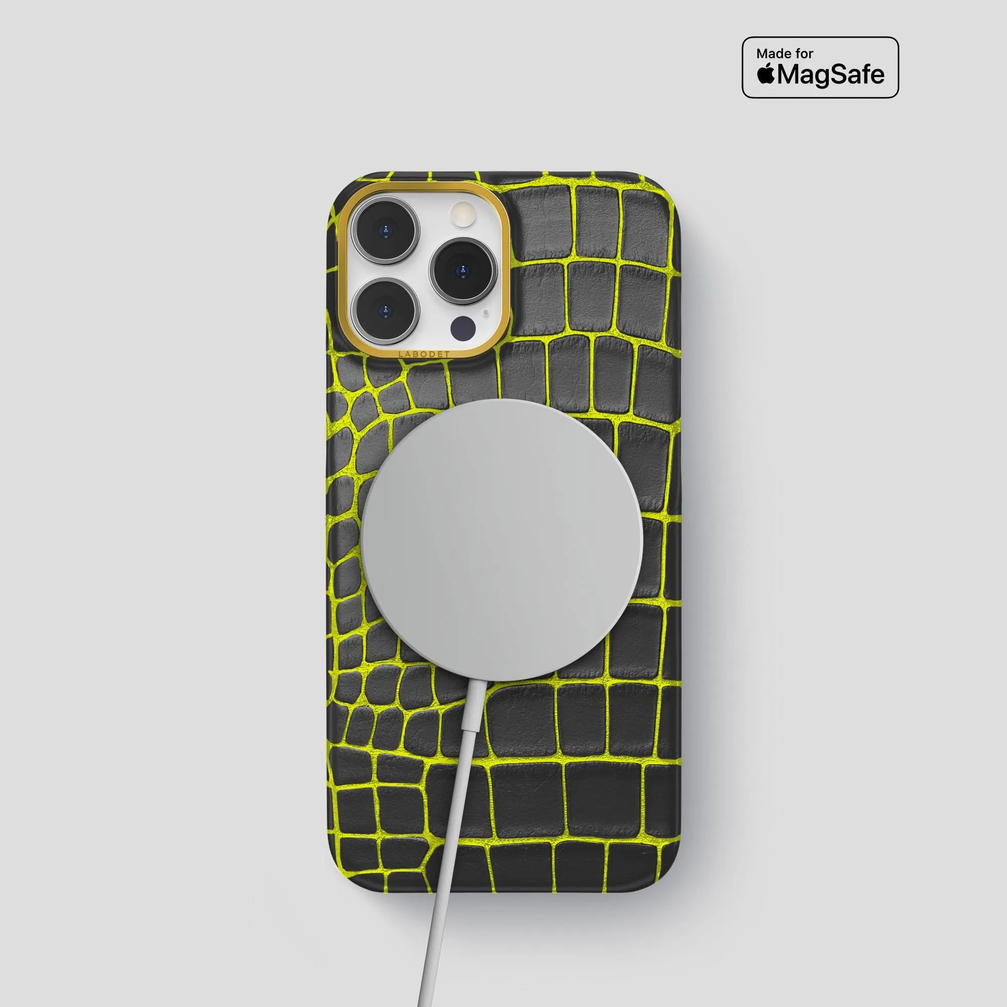 Classic Case For iPhone 15 Pro In Luminescent Alligator