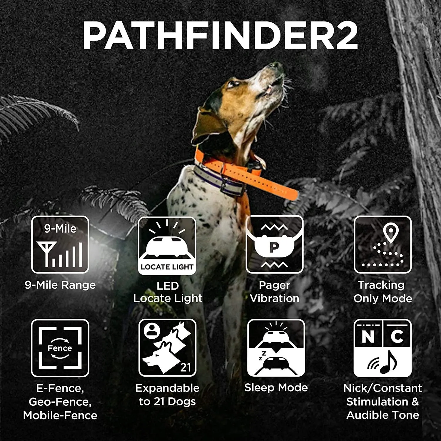 Dogtra Pathfinder 2 GPS Dog Tracker & Training Collar - Black