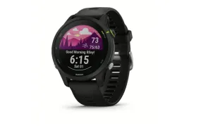 Garmin Forerunner 255 Music - 010-02641-20