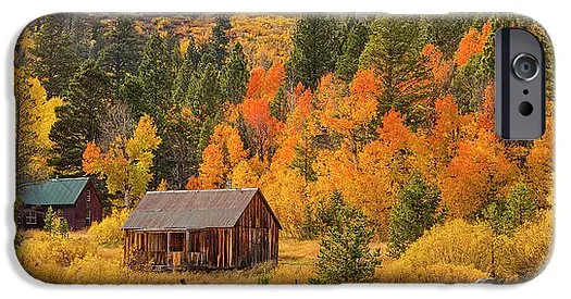 Hope Valley Fall Cabin By Brad Scott - Phone Case