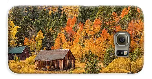 Hope Valley Fall Cabin By Brad Scott - Phone Case