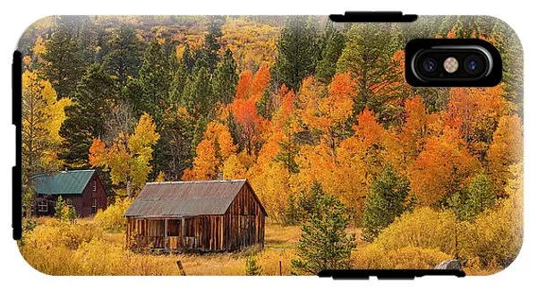 Hope Valley Fall Cabin By Brad Scott - Phone Case