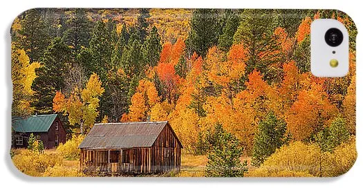 Hope Valley Fall Cabin By Brad Scott - Phone Case