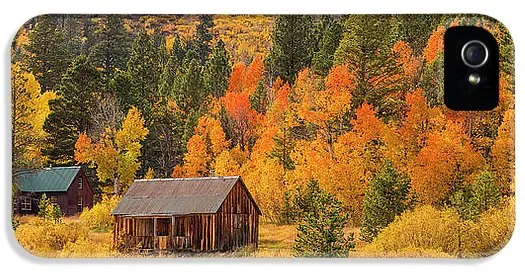 Hope Valley Fall Cabin By Brad Scott - Phone Case