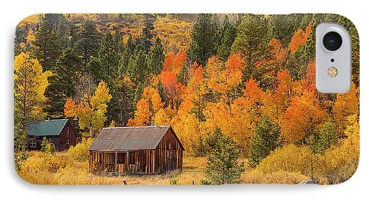 Hope Valley Fall Cabin By Brad Scott - Phone Case