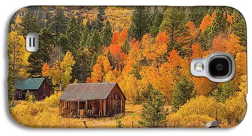 Hope Valley Fall Cabin By Brad Scott - Phone Case