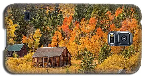 Hope Valley Fall Cabin By Brad Scott - Phone Case