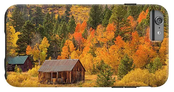 Hope Valley Fall Cabin By Brad Scott - Phone Case