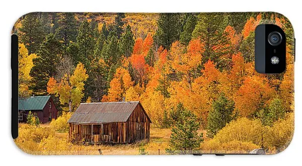 Hope Valley Fall Cabin By Brad Scott - Phone Case