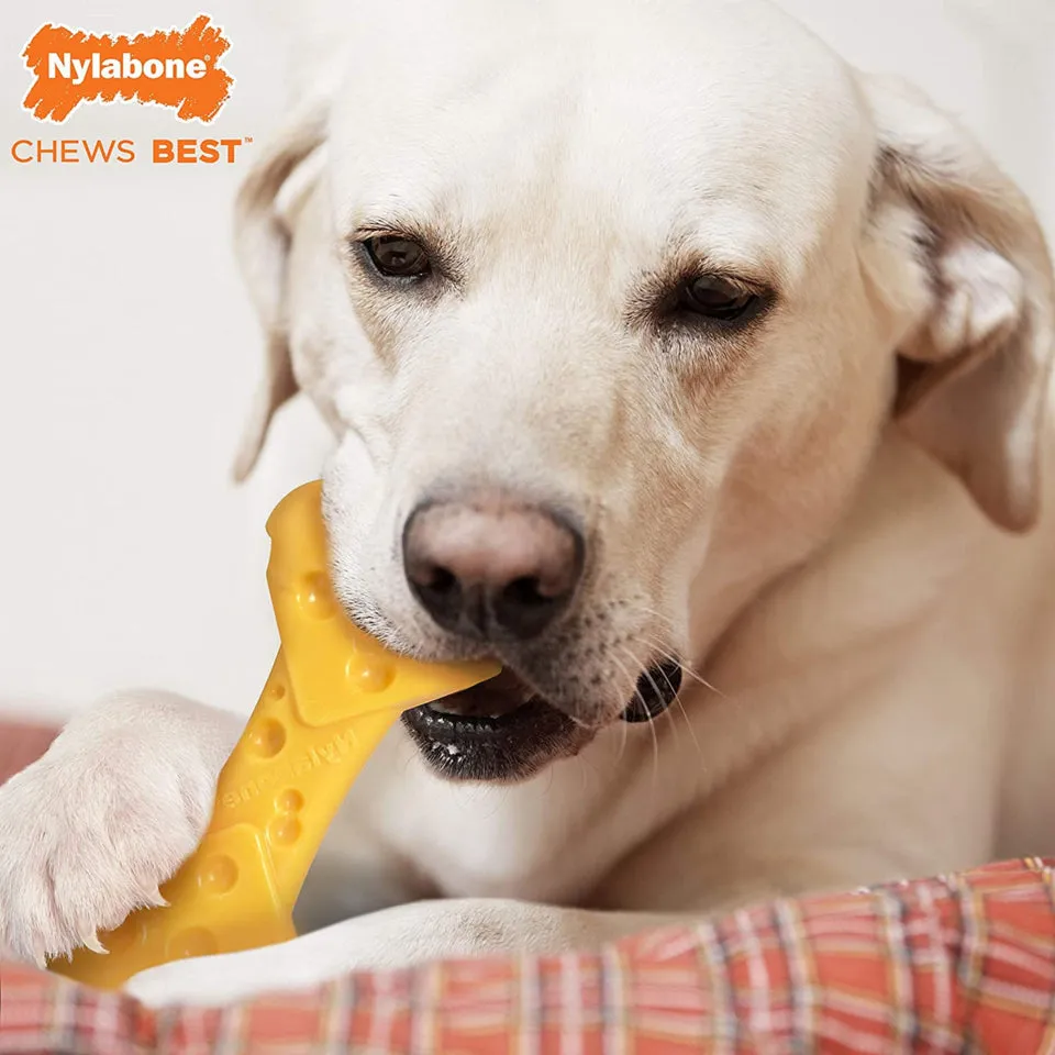 Nylabone Power Chew Cheese Bone Dog Toy