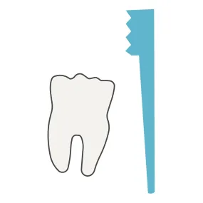 Toothbrush & Tooth